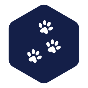 Houston SPCA Team Fundraising